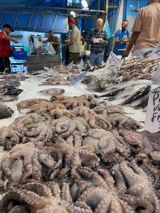 Oktopus am Marktstand